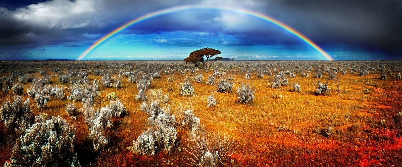 nature desert